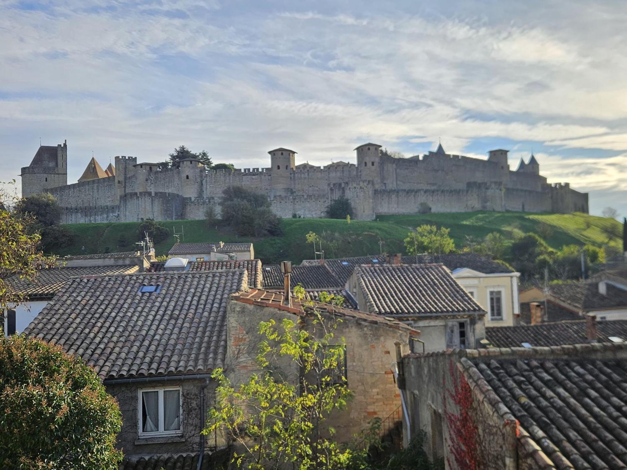 Vue Cite Medievale Castel View Carcassonne Buitenkant foto