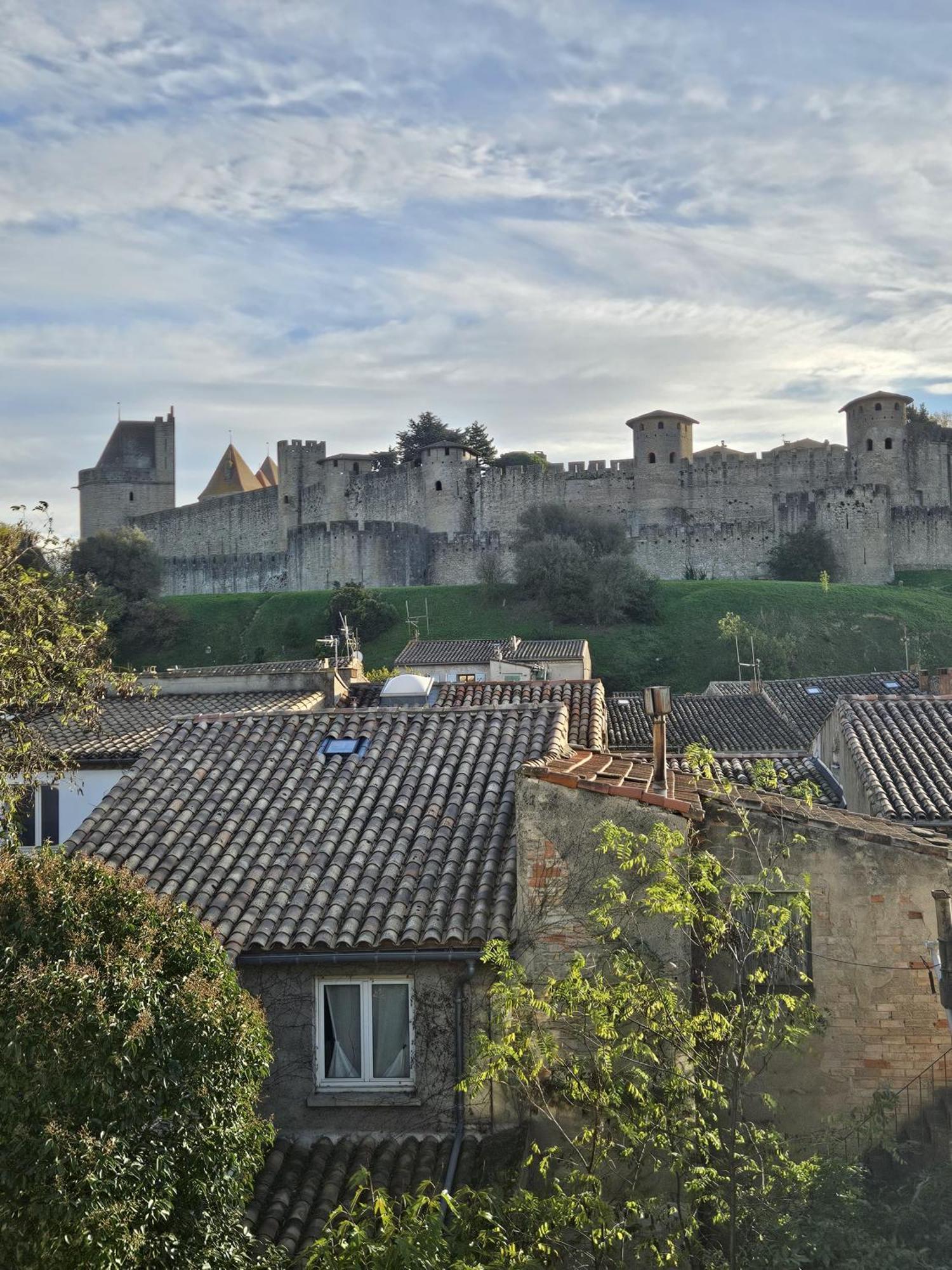 Vue Cite Medievale Castel View Carcassonne Buitenkant foto